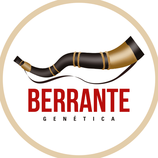 (c) Berrante.com.br